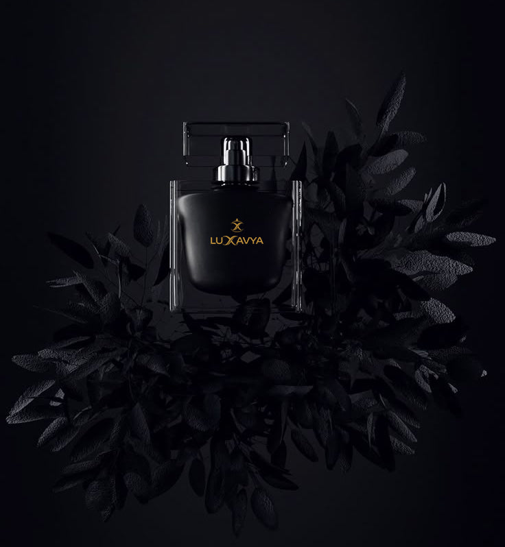 Best Perfumes for Daily Wear